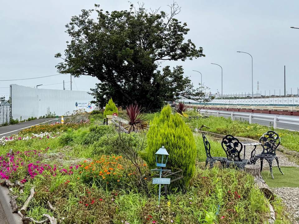 海軍道路沿いの植栽と周辺道路・工事囲いの全景（2026年7月12日、開幕前で会期中の園内ではありません）